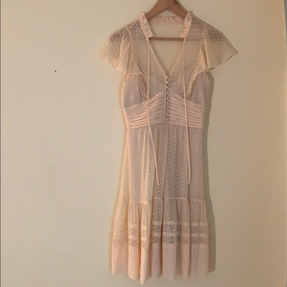 COPY - BCBGMaxazria Blush midi dress